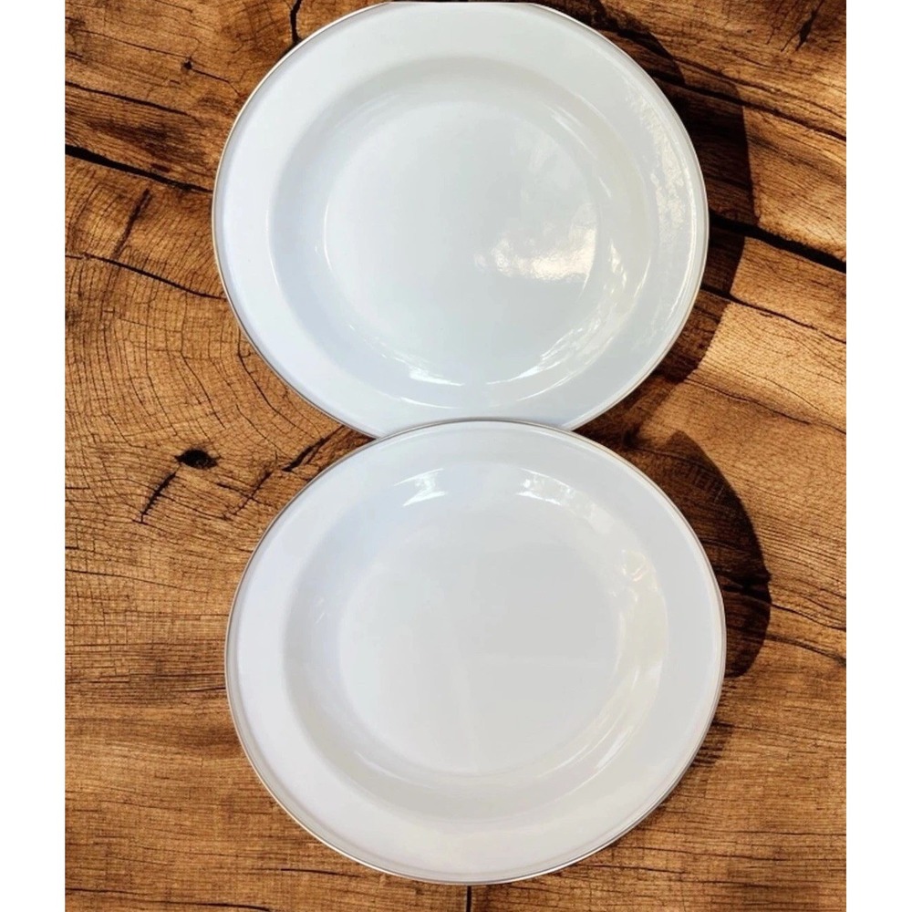 Discontinued Pottery Barn Enamelware Plates White 10" Set of 2 Metal Partyware